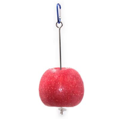 China Bird Toys 2 Sizes Stainless Steel Parakeet Bird Food Holder Pet Parakeet Pet Toy Skewer Fruit Spear Hanging Candle Holder for sale