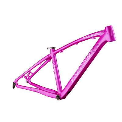 China 26 inch Aluminum Bike Frame Lady's Hardtail Xc mountain bike Women TM160L for sale