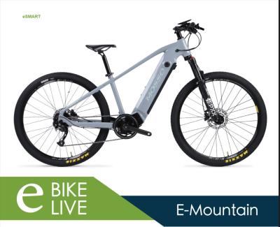 China Leichtes Aluminiumlegierungs-elektrisches Fahrrad mit entfernbarem Batterie-und intelligentes Steuerelektrisch betriebenem Mountainbike-Grau zu verkaufen