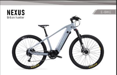 China Bici eléctrica de gama alta de 250W Mtb - bici eléctrica de batería 36V/20Ah de la vida de la ayuda duradera del pedal en venta