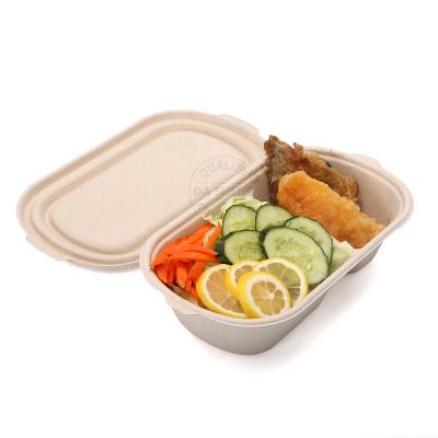 China Biodegradable Biodegradable Sugar Cane Food Container Bagasse Pulp Lunch Box 26oz With Lid for sale