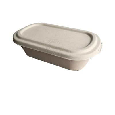 China Biodegradable Food Containers 100% Biodegradable Sugarcane Bagasse Lunch Box 2 Compartment for sale