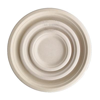 China Disposable Disposable Sugar Cane Paper Plate The Natural Bagasse Dish Biodegradable Dish for sale