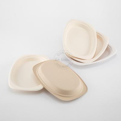 China Disposable Bagasse Sugarcane Disposable Biodegradable Dish For Wedding for sale