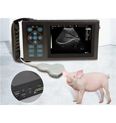 China Hopsital Animal B-ultrasound Machine for Veterinary Pets B-ultrasound Machine for Livestock Portable Ultrasound Machine for sale