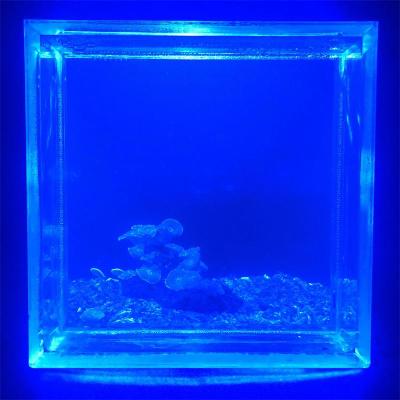 China Factory Supply Customized Mini Acrylic Fish Tank Acrylic Fish Tank Sustainable for sale