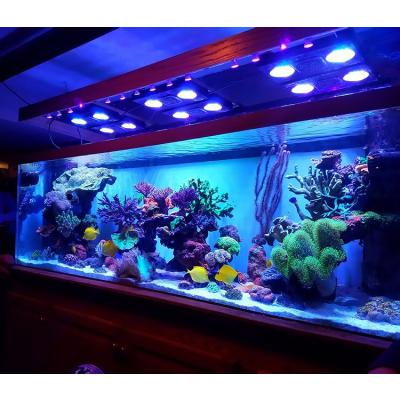 China Morden Design Sustainable Floor Standing Acrylic Fish Aquarium Tank , Large Acrylic Glass Aquarium Sheet Project# for sale