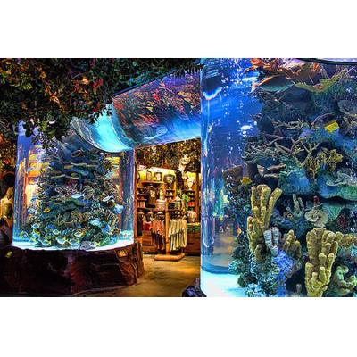 China Factory Sustainable Custom Floor Standing Acrylic Fish Aquarium Tank , Large Acrylic Aquarium Tank# for sale