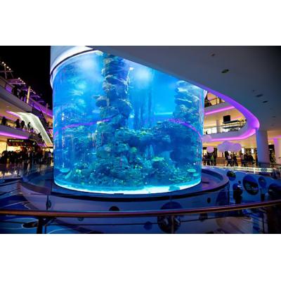 China Viable Custom Acrylic Fish Tank Design, Acrylic Jellyfish Aquarium Coral Reef Tank @ for sale