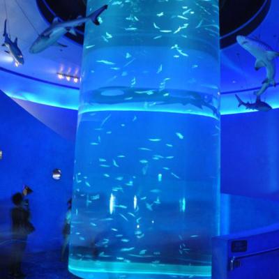 China Large Transparent Aquarium Canada 50Mm Viable Curved Acrylic Aquarium Tank Saltwater Acrylic for sale