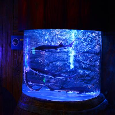 China Morden Sustainable Design Giant Transparent Saltwater Aquarium, Aquarium Products& for sale