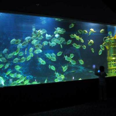 China Viable used acrylic fish tank of aquariums for sale for sale