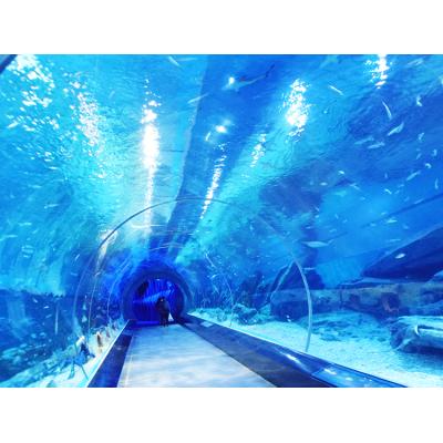 China Large Tunnel Viable High Quality Plastic Acrylic Glass Tank, Underwater Acrylic Glass Tunnel Aquariums# for sale