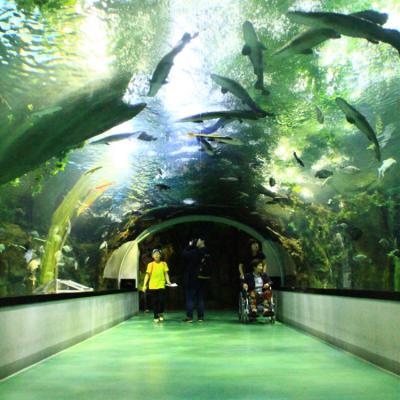 China Viable High Quality Transparency Acrylic Tunnel , Oceanarium PMMA Acrylic Aquarium Tunnel# for sale