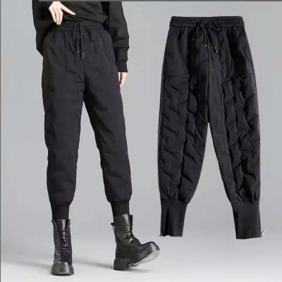 China 2021 New Fashion Hot Selling Women's Anti-Wrinkle New Fashion Hot Selling Women's Elastic Thick Casual Thick High Waist Cotton Pants Women's Pants for sale