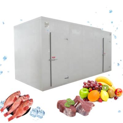 China high quality & Competitive price & Span Customized Long Working Walk In Cooler Walk In Freezer Combo Unit, Supermarket Walk In Freezer For Meat, Fish, Ice Cream for sale