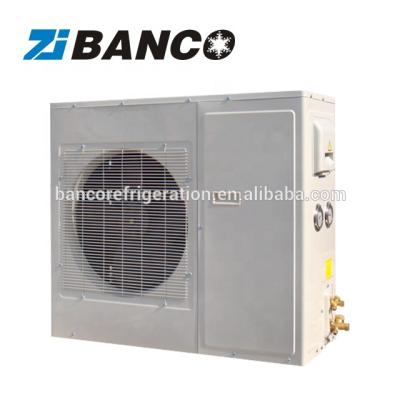 China Kinds of cold room/walk-in cooler& Freezer Cold Room Compressor Condensing Unit for sale