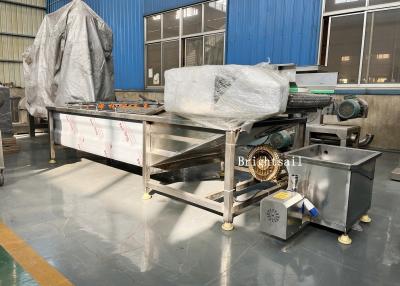 China Lebensmittelindustrie-Frucht-Gemüse Chili Air Bubble Washing Machine zu verkaufen