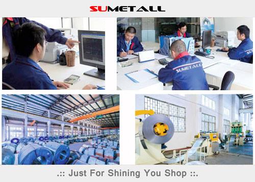 Proveedor verificado de China - SUMETALL (CHINA) SHOPFITTINGS LTD