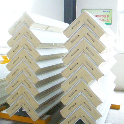 China Leading PU Sandwich Freezer Panel Wall/Roof Cold Room/China Manufacturer for Cold Storage Room for sale