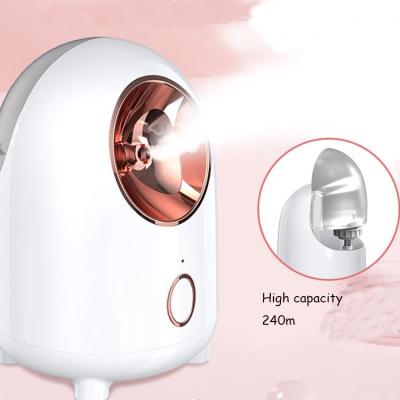 China Moisturizer Skin Care Supplement Sprayer Facial Steamer Nanometer Ionic Skin Moisturizing Hot Mist Face Steamer for sale