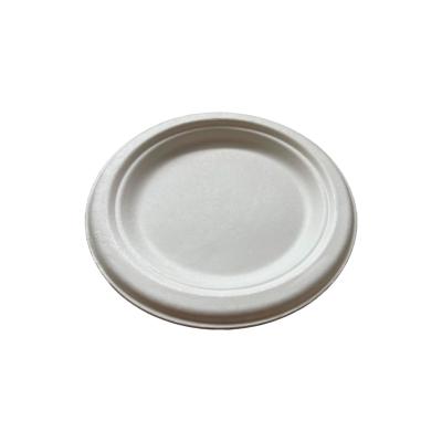 China Disposable Eco-friendly Paper Plates Supplier Food Grade Bioposable Tableware 6