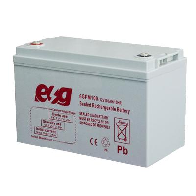 China Deep cycle battery for long life 12v100ah solar battery pack hot sale ESG storage rv caravan solar powered lead acid battery for sale