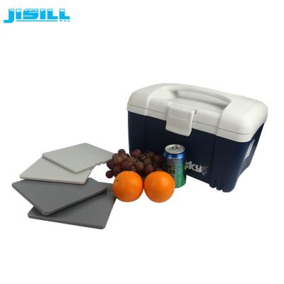 China 290ml Fit Fresh Cool Box Ice Packs , Freezer Cool Packs 19*19*1cm Size For Food Frozen for sale