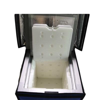 China caja fresca médica 42L en venta