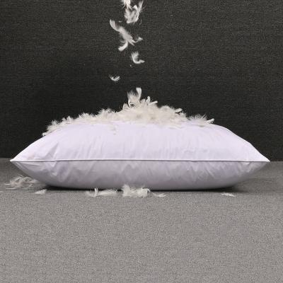 China Hot Selling Antistatic Home Hotel Polyester Pillow Insert Cotton Feather Filling Internal Core for sale