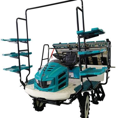 China Rice transplanting 6 type hot selling kubota rice row 8 row riding training transplanter machine kubota rice transplanter for sale