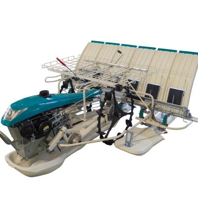 China Rice paddy 6 row unhusked rice planter manual rice transplanter KUBOTA rice transplanter for sale