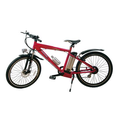 China Amazon 750W 1000W Motor E-Bike Mountain Bike Aluminum Hot Selling Electric Bike for sale