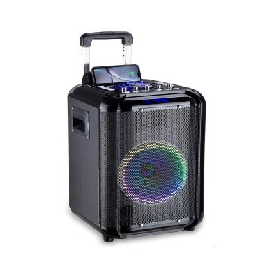 China Professional Blue 8 Inch Speaker Woofer Tooth Trolley Loudspeaker Radio Phone Function Rechargeable With Led Display for sale