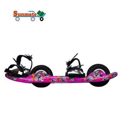 China Dropshipping New Design Plastic Multi Color Popular Hot Sale 2 Wheel Skateboard Mountainboard Waveboard for sale