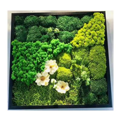 China Marrying Factory Direct Wholesale Artificial Grass Moss Immortalis Decoration for sale