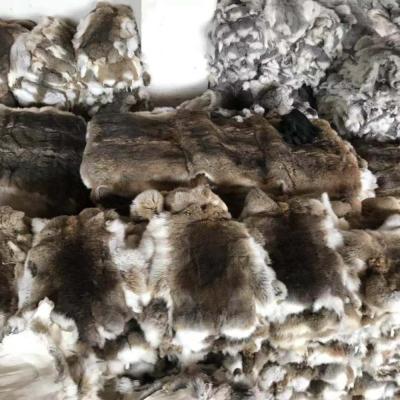 China Wholesale Price Soft White Chinchilla Rabbit Fur Spray Tan Rex Hides for sale