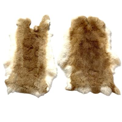 China Factory price soft high quality rex rabbit fur skin pelts for sale for sale