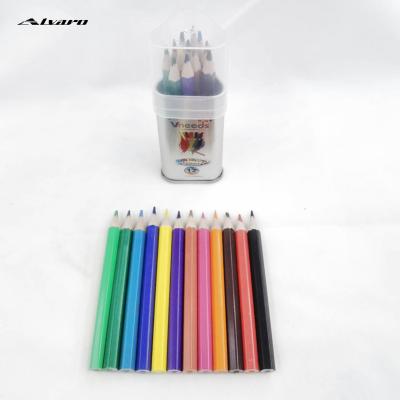 China Non-toxic and odorless materials heaxgon color pencil in metal bottle color pencil 3.5 inch 12color pencil set for sale