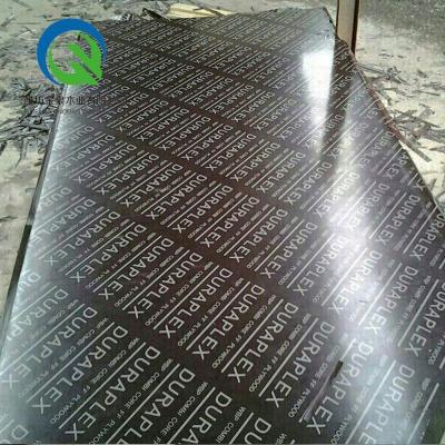 China Construction modern fenolic triplay plywood for sale