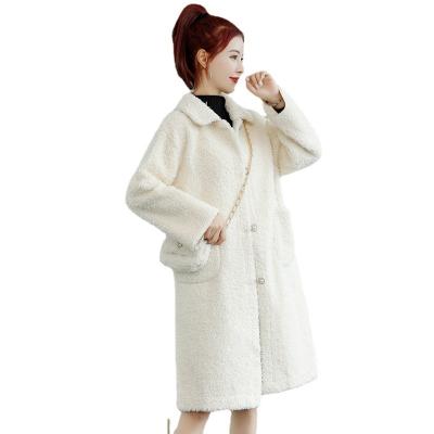 China Anti-Wrinkle Long Breasted Coat Ladies Sheath Long Double Autumn Winter Wear Coat Overcoat Women Clothes for sale