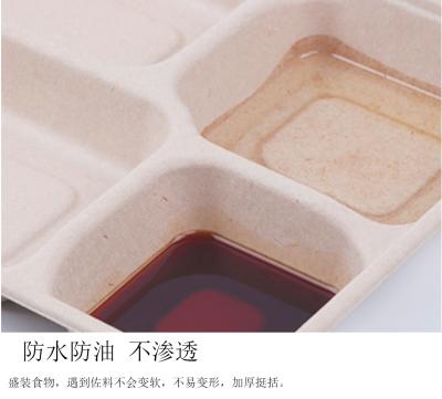 China Four Compartment Greaseproof Disposable Lunch Box Environmental Protection Pulp Packing Degradable Tray for sale