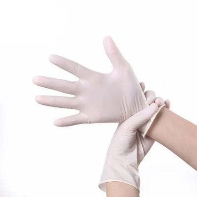 China Wasserdichte medizinische Chirurgie EN374 pulverisierte die antistatischen Latex-Handschuhe zu verkaufen