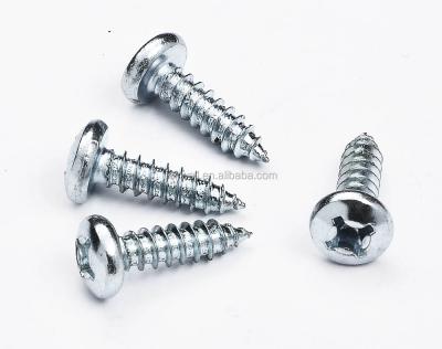 China Carbon Steel. Stainless Steel 304 316 Screw 201. A2 A4 China Factory Tapping Screw for sale