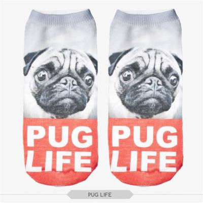 China News Pug 3D Digital Print Breathable Cute Adult Socks Short Socks for sale