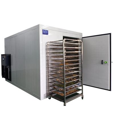 China Medicine Processing Commercial Fig Dehydrator Machine Food Drying Machine Ginger Drier Oven for sale