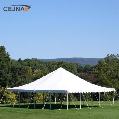 China Water Proof Celina Outdoor Customize Large Capacity Canvas 80x80 Waterproof Outdoor Transparent Tent for sale