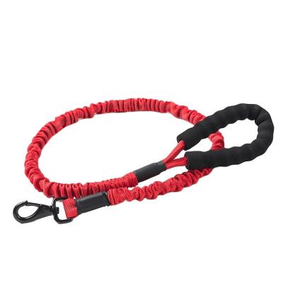 China Colorful Fashion Pet Viable Leash Pet Leash And Elastic Pet Leash for sale