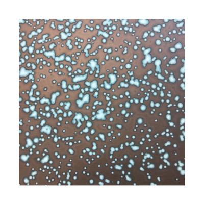 China Cheap price high quality antique patina stainless steel sheet and decoration of manufacture for sale