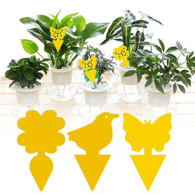 China 10pc Sticky Traps Stocked Yellow Fruit Fly Gnat Trap Insect Sticky Trap For Control Indoor Outdoor Garden Fly Insect Strong Glue Plant Use for sale